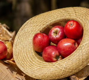 Obst Lieferservice Essen